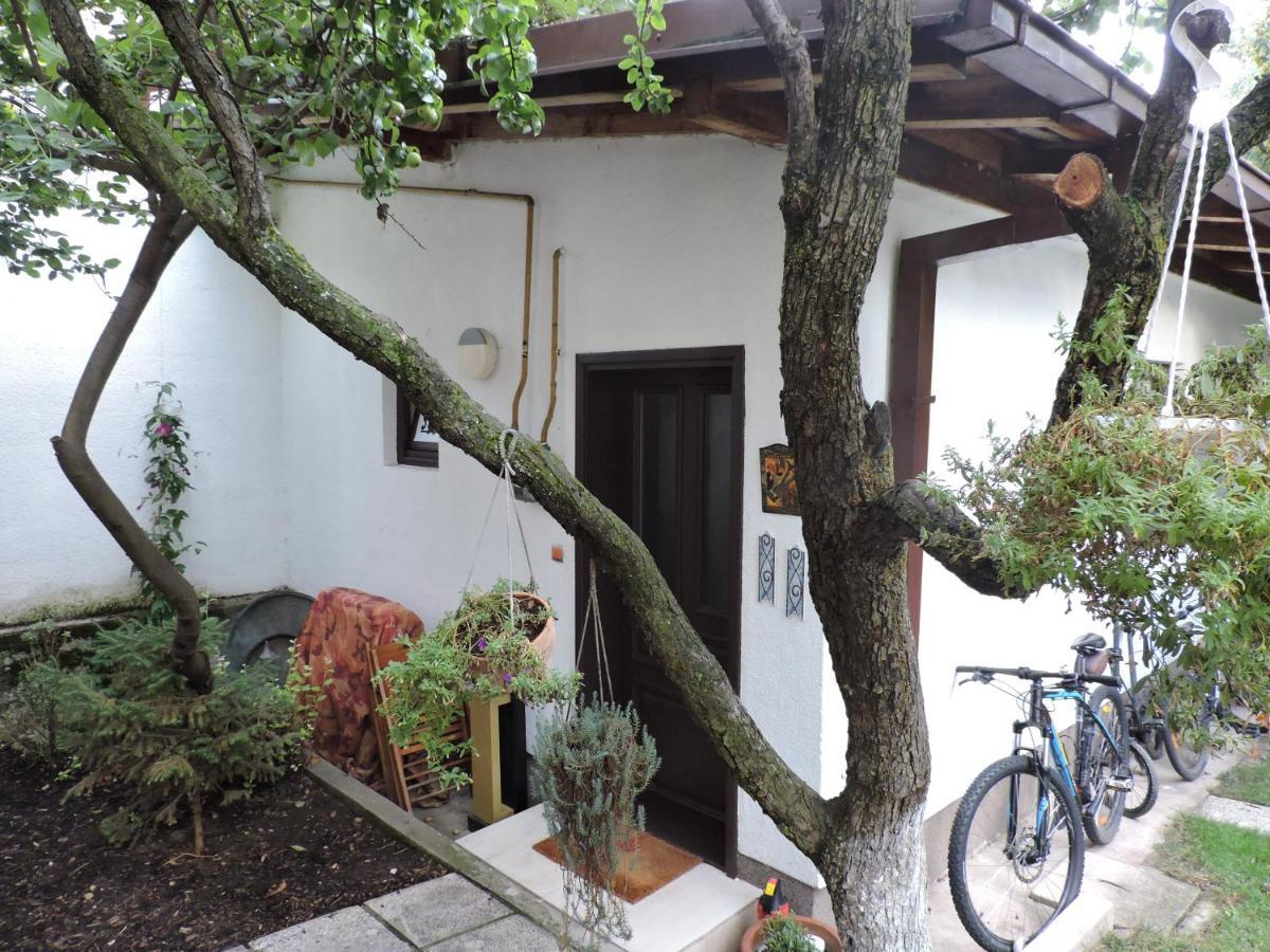 Apartments Music, Garden And Free Parking SJJ Exterior foto